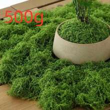 20-500g Artificial Moss Lawn, Realistic Faux Moss, Fake Moss Micro Landscape Arrangement, Lifelike Green Plant Lawn, Suitable For Micro Landscape, Green Plant Lawn, Potted Plant Window Sill Decoration, Landscape Design, Handmade DIY And Home Decor - Multiple Styles - View 16