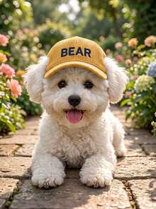 Customizable Dog Hat With Ear Holes, Personalized Cute Windproof Sun Hat, Exposed Ear Design, Anti-Shedding, Adjustable Sun Protection, Suitable For Small Pet Dogs For All-Year Outdoor Wear - Multicolor - View 6