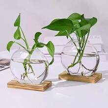 2pcs Desktop Round Glass Planter With Wooden Stand, Suitable For Small Hydroponic Plant Propagation, Home Office Decor, Brown Home Decor Room Decoration Glass Vase - 1PC - View 6