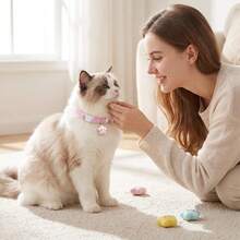 1/2Pcs Cute Star Pet Collar Adjustable Soft Webbing Kitten Puppy Collar With Star Pendant, 4 Macaron Colors, Comfort Lightweight Cat Dog Neck Strap For Daily Walking - Multicolor - View 9