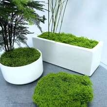 20-500g Artificial Moss Lawn, Realistic Faux Moss, Fake Moss Micro Landscape Arrangement, Lifelike Green Plant Lawn, Suitable For Micro Landscape, Green Plant Lawn, Potted Plant Window Sill Decoration, Landscape Design, Handmade DIY And Home Decor - Multiple Styles - View 8