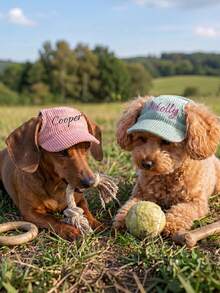 Customizable Dog Hat With Ear Holes, Personalized Cute Windproof Sun Hat, Exposed Ear Design, Anti-Shedding, Adjustable Sun Protection, Suitable For Small Pet Dogs For All-Year Outdoor Wear - Multicolor - View 4