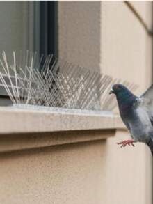 Bird Spikes With Plastic Base, Bird Spikes Pigeon Spikes Fence Kit For Keeping Small Bird 5m 10pcs 50 Cm Fence Spikes - Silver - View 2