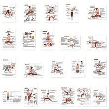 41pcs Yoga Pose Cards, Beginner's Guide For Men & Women - Fitness & Stretching Instructions, With Basic Practice Set. Perfect Gift For Newbies Or Instructors, Practice Flash Cards, Yoga Pose Illustrated Cards, Pilates Exercise Diagrams - Multicolor - View 10