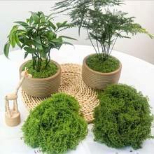 20-500g Artificial Moss Lawn, Realistic Faux Moss, Fake Moss Micro Landscape Arrangement, Lifelike Green Plant Lawn, Suitable For Micro Landscape, Green Plant Lawn, Potted Plant Window Sill Decoration, Landscape Design, Handmade DIY And Home Decor - Multiple Styles - View 6
