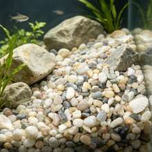 Natural River Stone Mixed Color Pebbles Aquarium Bottom Sand Small Garden Stones Soil Cover, Suitable For Fish Tank, Landscape, Vase Filler, Succulents, Air Plants, Cactus, Terrarium Plants - View 4