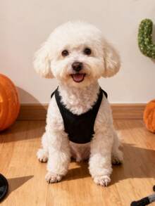 LUCKIE PAW قطعة واحدة سترة حيوان أليف بنمط الدب الغاضب، وقاية فيزيائية من البراغيث، تقليل تساقط الشعر، معزولة وقابلة للتنفس، مناسبة للكلاب والقطط الصغيرة والكبيرة، للاستخدام الداخلي والخارجي - الأسود - مشاهدة 3