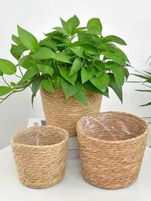 Nordic Style New Woven Straw Planter Pot Cover DIY Storage Decorative Potted Plant Flower Pot Set Suitable For Living Room Balcony Study - A - View 5
