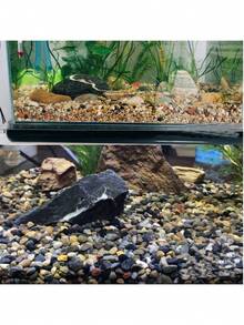 Natural River Stone Mixed Color Pebbles Aquarium Bottom Sand Small Garden Stones Soil Cover, Suitable For Fish Tank, Landscape, Vase Filler, Succulents, Air Plants, Cactus, Terrarium Plants - View 2