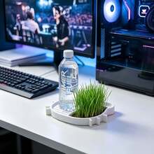 多肉與水耕草植栽托盤，2合1冷凝排水托盤，桌面飲料罐架，多功能收納托盤，適用窗台、辦公工作站、遊戲桌 - 多色 - 查看 3