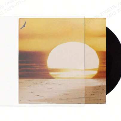 100pcs Vinyl Record Protective Sleeves/Record Protective Covers/12 Inch Plastic Bags/Record Sleeves/Transparent Outer Covers
