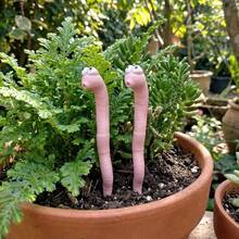 1pc,Cute "Thirsty Bug" Garden Decoration, A Charming Pink Insect, Is Perfect For Enhancing The Decoration Of Indoor And Outdoor Plants - Multiple Styles - View 5