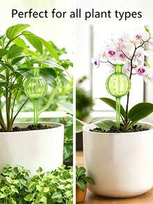 2/4/8pcs Cactus-Shaped Automatic Watering Spikes, Automatic Slow-Release Plant Watering System, Automatic Watering System, Indoor/Outdoor Gardening Tools, PVC Material, Automatic Watering Device, Drip Irrigation, No Electricity Required, Suitable For Succulents And Fresh Flowers, Plastic Watering Balls, Large Capacity, Narrow Mouth Design Extends Watering Time, Essential For Indoor/Outdoor Potted Plants In Spring And Summer - White - View 4