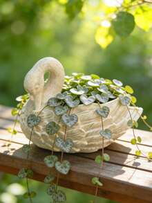 Elegant Swan Resin Succulent Planter - Exquisite White Swan Design With Delicate Feather Texture, Perfect For Succulents, Cacti And Small Plants On Windowsills, Desktops And Patios. Adds An Elegant And Charming Atmosphere, A Charming Decorative Storage Item For Beauty Lovers. - Multicolor - View 8