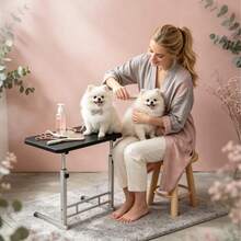 Pet Grooming - View 16