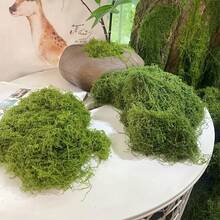 20-500g Artificial Moss Lawn, Realistic Faux Moss, Fake Moss Micro Landscape Arrangement, Lifelike Green Plant Lawn, Suitable For Micro Landscape, Green Plant Lawn, Potted Plant Window Sill Decoration, Landscape Design, Handmade DIY And Home Decor - Multiple Styles - View 12