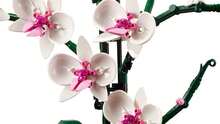 LEGO Icons: Tbd-Icon-Lifestyle (10311) - 彩色 - 查看 3