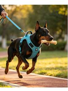 1 Peça Colete para Cachorro com Estojo Protetor AirTag, Suporte Oculto Integrado para AirTag, Colete Ajustável Reflexivo, Adequado para Cães de Pequeno a Grande Porte, Não Inclui Rastreador AirTag ou Guia - Multicolorido - Visão 3
