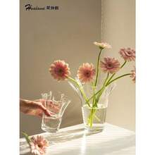 Large Minimalist Transparent Wide-Mouth Glass Vase For Hydroponic Flowers, Home Decor Creative Flower Holder - Large Badminton Shuttlecock | Transparent - View 2