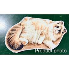 1PC Cute Sleeping Cat Plush Creative Design Bathroom Mat, Bathroom Rug, Door Mat, Small Rug, Carpet, Floor Mat, Home Decor, Area Rug, Outdoor Mat, Home Decor, Area Carpet, Bedroom Rug, Washable Carpet - A - View 8
