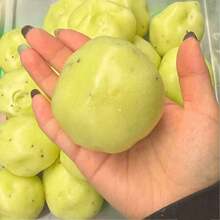 1 Pc Creative Potato‑Shaped Squishy Toy, Hand‑Made Ice‑Sand Texture, Crisp ASMR Sound Effect, Slow‑Rebound Stress‑Relief Fidget Toy, Potato Ice Ball Sand‑Feel Squishies, Anxiety Relief Finger Toy For ADHD And Autism, Pressure Relieving Sensory Toy - Multicolor - View 8