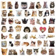 50pcs Realistic Cute Kitten Expression Sticker Set, Creative Decor For Water Bottles, Notebooks, Waterproof & Non Repeating PVC Stickers,School Supplies,Back To School - Multicolor - View 2