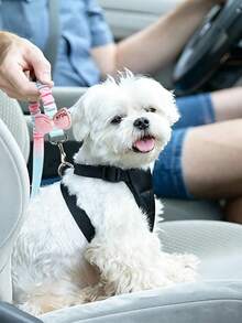 2pcs Elastic Pet Car Safety Belt, Macaron Gradient Color Safety Leash, Decorated With Cute Rabbit And Bowknot, Shock-Absorbing Design, Suitable For Cat And Dog Travel, Pet Safety Leash - Multicolor - View 7