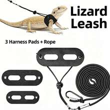 1 Set Harness & Tali Reptil Sayap Kelelawar, S/M/L 3 Ukuran Dapat Disesuaikan, Tali Jalan Kadal PU Lembut Anti Lepas, Panjang 2,2m, Tali Nilon Tahan Gigitan dengan Lingkaran Pergelangan Tangan, Cocok untuk Reptil Kecil, Pola Hitam & Emas - MultiWarna - View 8