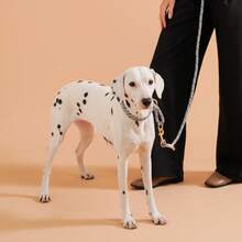 1pc Handmade Woven Pet Collar With Tech-Style Metal Buckle, Adjustable Neck Size, Dog Training P-Chain Collar, Suitable For Small, Medium And Large Dogs, Outdoor Running, Training, Walking, Leash - Multicolor - View 3