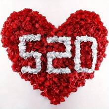 2000pcs Romantic Red Rose Petals - Wedding And Valentine's Day Decoration Gift - Multicolor - View 6