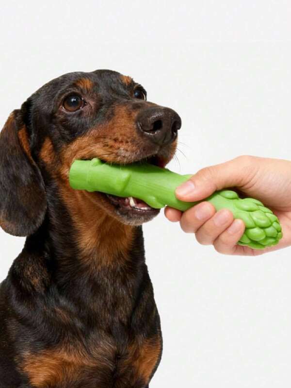 1pc 2026 Creative New Style Squeaky Sound Puzzle Fun Cute Natural Latex Green Asparagus Vegetable Chew Toy, Massage And Clean Teeth Pet Supplies Suitable For Puppies And Small, Medium, Large Dogs, Relieve Boredom, Reduce Destructive Behavior, Enhance Interaction And Bond