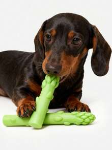 1pc 2026 Creative New Puzzle Fun Cute Squeaky Sound Natural Latex Green Asparagus Vegetable Chew Toy Massage Clean Teeth Pet Supplies Suitable For Puppies/Medium & Large Dogs Solitary Boredom Relief Interactive Bonding Reduce Destructive Behavior - Multicolor - View 2