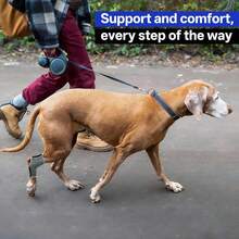 1pc Dog Leg Brace, Suitable For Limb Joint, Wound, Sprain And Arthritis Recovery Treatment - Grey - View 7