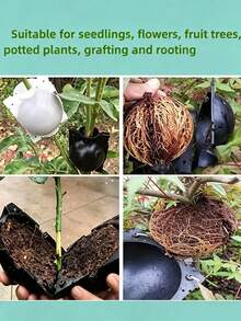 Transparent Visible Grafting Tool, Reusable Plant Root Growth Box, Plant Rooting Ball, Reusable Non-Damaging High-Pressure Breeding Ball, Fast Plant Breeding Air Layering Box, Root Grafting Tool Set - Multicolor - View 8