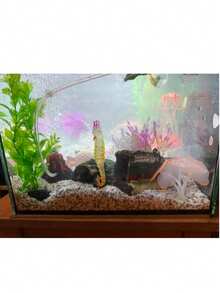 Artificial Aquarium Plants, Aquatic Plants, Fake Plant Flowers Decoration, Suitable For All Fish, Freshwater Fish Tank And Large Fish Tank Decoration, Aquarium Accessories - Green - View 9