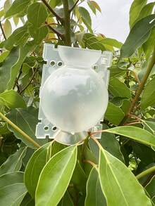 Transparent Visible Grafting Tool, Reusable Plant Root Growth Box, Plant Rooting Ball, Reusable Non-Damaging High-Pressure Breeding Ball, Fast Plant Breeding Air Layering Box, Root Grafting Tool Set - Multicolor - View 5