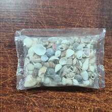 60G/120G Assorted Colorful Shells, Random Mini Seashells, Suitable For Handmade DIY, Hand-Painted Resin Art, Aquarium Fish Tank Decor And Summer Beach Themed Home Decoration - Happy Aquarium - View 10