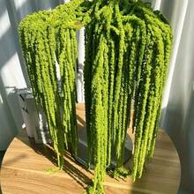 1/2/3/4/5/10pcs Artificial Hanging Amaranth Flowers, Floral Art, Hanging Floral Decor, Wedding Arch Decoration, Background Decoration - Green - View 1