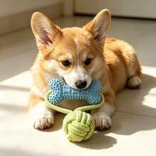Dog Stuff Puppy Toys Spiky Bone With Rope Knot Ball, Durable Chew Toy, 3-In-1 Teeth Cleaning, Training Toy, Dog Teething And Boredom Relief Toy, Pet Ball Supplies, Dog Balls/Dog Toy/Puppy - Multicolor - View 6