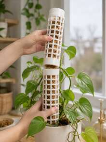 1/3/5/8pcs White Interlocking Moss Pole, Designed For Climbing Plants, Home Potted Plant Climbing Supplies, Professional Support For Monstera And Pothos, Suitable For Study And Indoor Garden - Multicolor - View 10