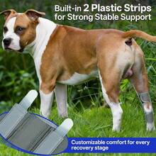 1pc Dog Leg Brace, Suitable For Limb Joint, Wound, Sprain And Arthritis Recovery Treatment - Grey - View 6