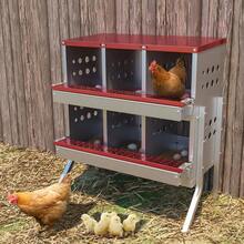 Galvanized Metal Chicken Nesting Box With 6 Roll Out Compartments, Perch Rod, Egg Tray & Training Eggs, Rustproof With Legs, Outdoor Poultry Laying Box For Farm Coop - Red - View 1