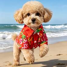 2pcs New Pet Hawaiian Beach Outfit, Breathable Floral Shirt + Sun Hat, Suitable For Teddy, Bichon, Pomeranian, Maltese, Beach Vacation Wear - Red - View 10