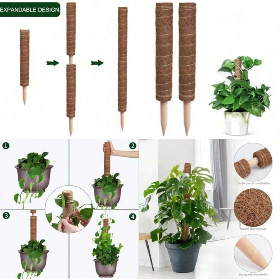 2入 63吋可彎曲苔蘚柱 龜背竹植物支撐架 大型室內攀爬植物用盆栽攀爬支柱 高桿室內格柵 龜背竹盆栽配件