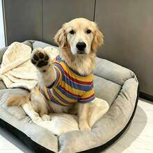1pc Dog Clothes Large Dog Spring/Summer Thin Green Striped Outfit For Labrador Golden Retriever Alaskan Husky - Yellow - View 4