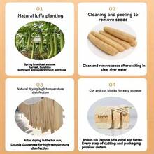 1/2/4/6pcs Loofah Exfoliating Body Brush - Gentle Bath Sponge, Suitable For Men & Women, Daily Use Or Kitchen Cleaning - Luffa Pancake - View 5