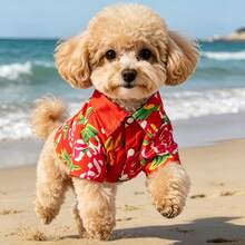 2pcs New Pet Hawaiian Beach Outfit, Breathable Floral Shirt + Sun Hat, Suitable For Teddy, Bichon, Pomeranian, Maltese, Beach Vacation Wear - Red - View 9