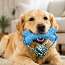 Dog Stuff Puppy Toys Spiky Bone With Rope Knot Ball, Durable Chew Toy, 3-In-1 Teeth Cleaning, Training Toy, Dog Teething And Boredom Relief Toy, Pet Ball Supplies, Dog Balls/Dog Toy/Puppy - Multicolor - View 8