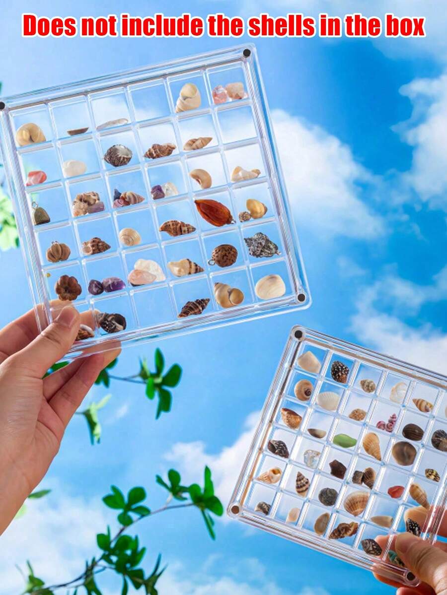 Caja de exhibición de conchas magnética de acrílico 36-rejilla Caja de almacenamiento de conchas de acrílico Caja de exhibición de conchas multifuncional Caja de almacenamiento de joyas Caja de almacenamiento de conchas de estrella de mar y gemas Joyería hecha a mano Caja de almacenamiento de decoración Regalo para amigos y familia