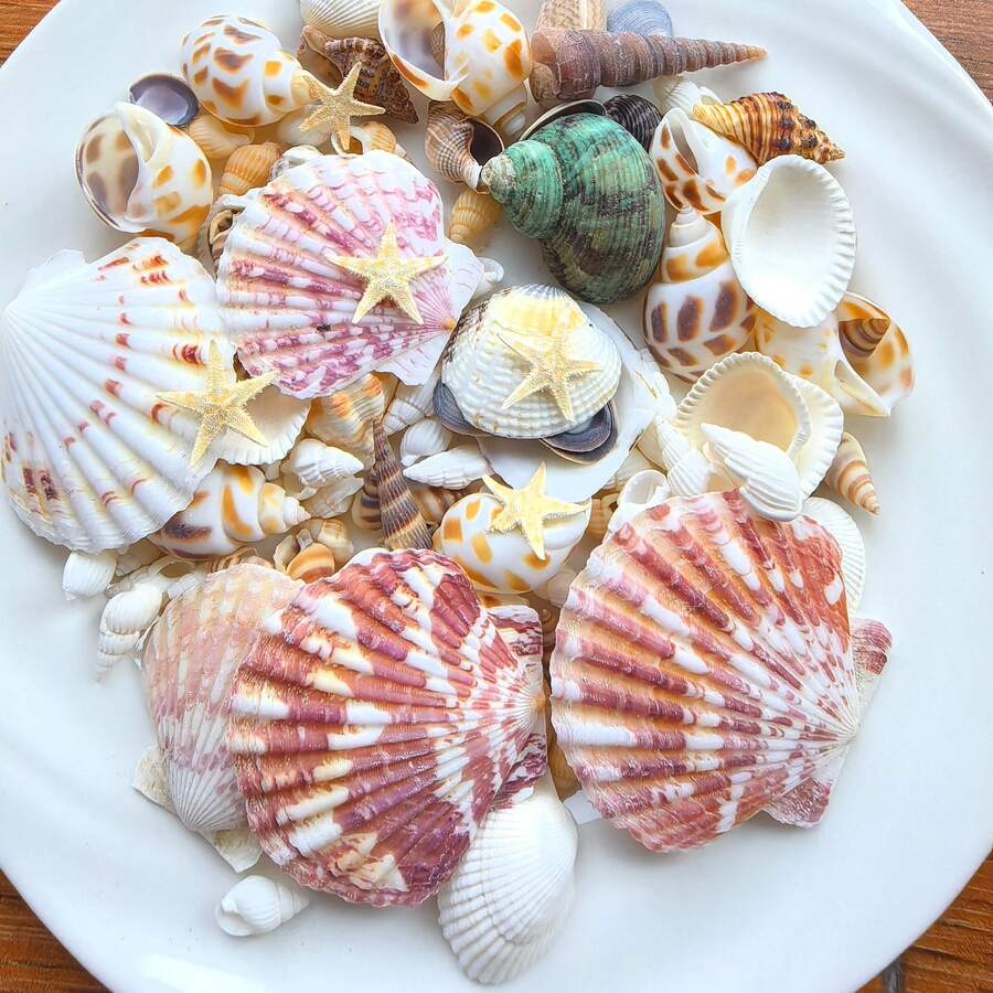 Approx. 110pcs/Box Mixed Natural Seashells 200g Pink Shells 300g Yellow Conch - Suitable For DIY Jewelry Making, Aquarium Decoration, Bathroom Decor, Party Candles, Wedding Decoration, Handmade Projects - Set - View 1